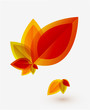 Vector abstract autumn leaf background
