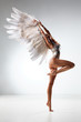 the dancer