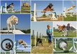 Photo: Agility Agility