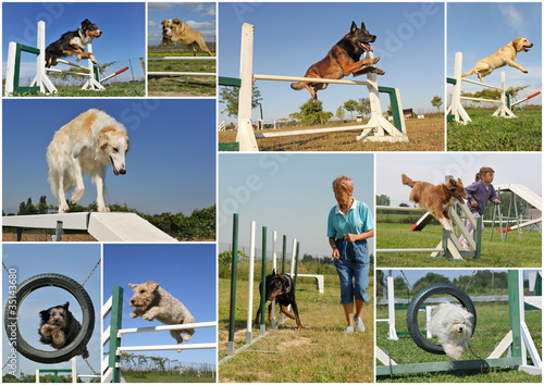 Foto: Agility Agility