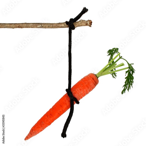 Foto: Möhre am Stock Möhre am Stock