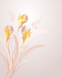 delicate pastel flowers freesia delicate pastel flowers freesia