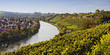 Foto: Weinberg Bad Cannstatt Weinberg Bad Cannstatt
