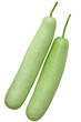 Lagenaria vulgaris Fruit