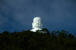 Buddha statue behind tropical forest