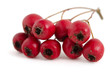 Weißdornbeeren