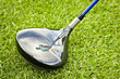 Foto: golf player golf player