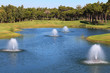 Fountain in the artificial pond. Fountain in the artificial pond.