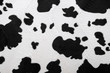 Photo: fur carpet fur carpet