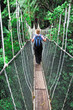 canopy bridge