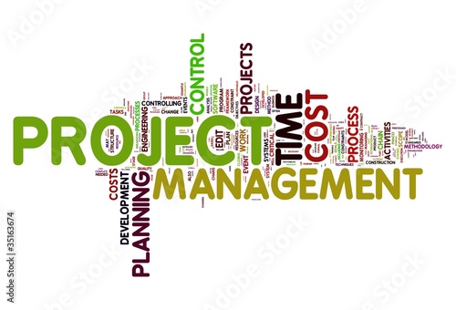 Illustrazione: Project management in tag cloud Project management in tag cloud