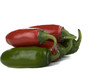 Jalapeno Peppers