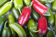 Photo: Jalapeno Peppers Jalapeno Peppers