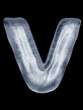 Eis Buchstabe V
