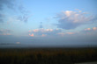 foggy meadow landscape gray winter fog foggy meadow landscape gray winter fog