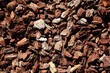 bark brown tree trunk pattern texture as soil in garden bark brown tree trunk pattern texture as soil in garden