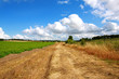 Rural road in the fields Rural road in the fields
