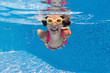 Happy smiling underwater kid in swimming pool
