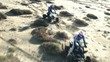 Quads en action