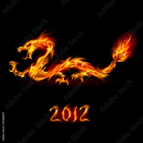 Vector: Fire Dragon Fire Dragon