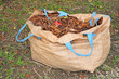 Sack Of Dry Leaves In The Garden