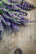 Fresh lavender