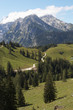 Alpen, Wald, Hügel und Weg