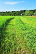 countryside landscape with a house on a field