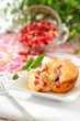 Homemade cranberry muffin Homemade cranberry muffin