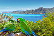 Bright parrot against the sea and mountains