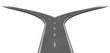 Fork in the road