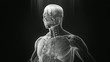 X-Ray