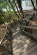 Stairway to lake Stairway to lake