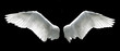 Angel wings isolated on the black background