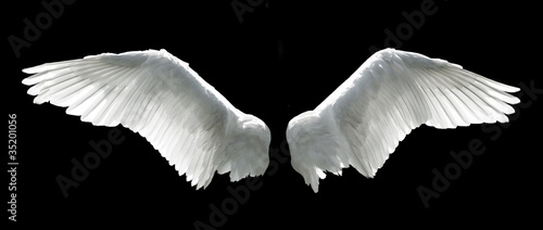 Photo: Angel wings isolated on the black background Angel wings isolated on the black background