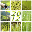 2012, montage nature verte 2012, montage nature verte