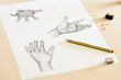 Photo: Drawing Human Hands Drawing Human Hands