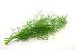 Dill