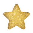Goldener Weihnachtsstern 2 (Freistellpfad / clipping-path)