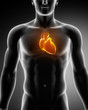 Human heart glowing in chest