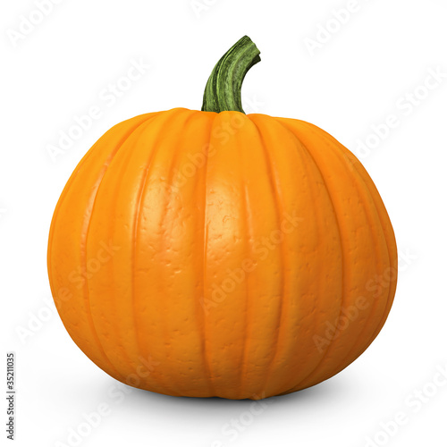 Illustration: Pumpkin Pumpkin