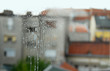 Window glass cleaning