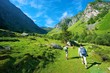 Pyrénées Mountain, France