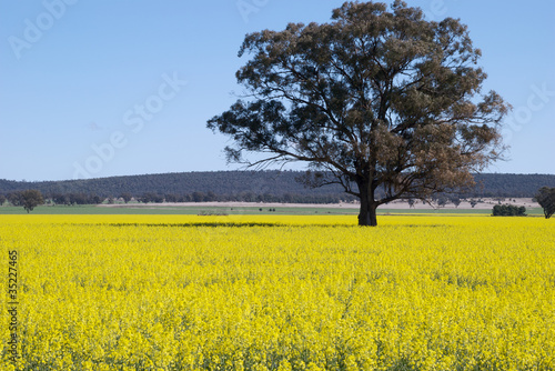 Photo: landscape landscape