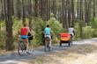 Gironde, cycliste dans la forêt des Landes