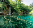 Fasserfall mit Unterwasserfauna