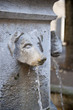 Fontaine tête de chien