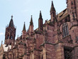 Freiburg Münster