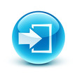 icône connexion / log in icon