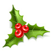 Vektor: mistletoe mistletoe